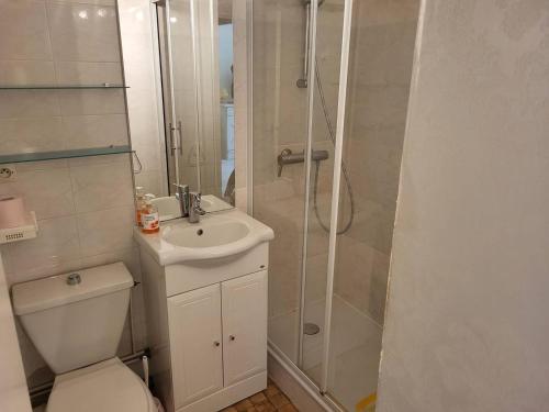 une salle de bain avec une douche, des toilettes et un lavabo dans l'établissement Appartement T2 au cœur de Cabourg avec balcon, parking & acceptant animaux - FR-1-465-16, à Cabourg