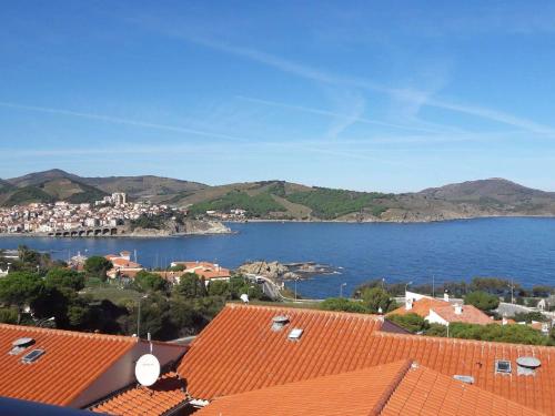 Appartement 2 pièces avec climatisation et parking à Banyuls-sur-Mer - FR-1-225C-12