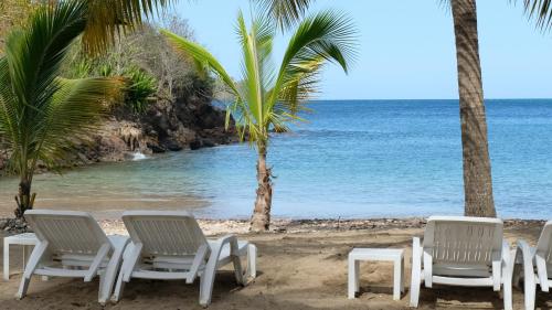- un groupe de chaises et de palmiers sur la plage dans l'établissement Imperatrice Village - Résidence sur la plage, à Les Trois-Îlets