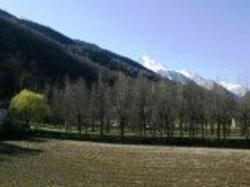 a field with trees in front of a mountain at Appartement Saint-Lary-Soulan, 2 pièces, 6 personnes - FR-1-457-147 in Saint-Lary-Soulan