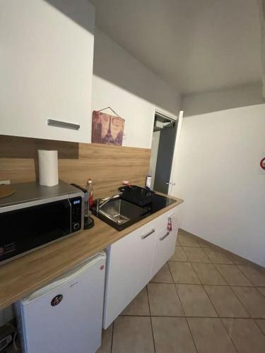 uma cozinha com um lavatório e um micro-ondas em Le passage em Paroy-sur-Tholon