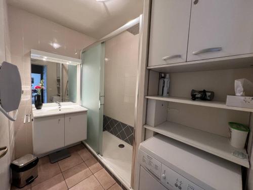 a small bathroom with a sink and a shower at Appartement Cambo-les-Bains, 3 pièces, 4 personnes - FR-1-495-20 in Cambo-les-Bains