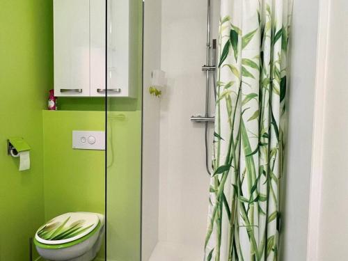 baño verde con aseo y cortina de ducha en Appartement Itxassou, 2 pièces, 3 personnes - FR-1-495-47, en Itxassou