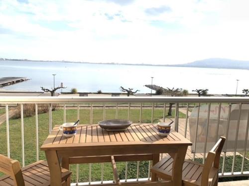 Appartement cosy face à l'étang de Thau, proche thermes et commerces, balcon, animaux admis - FR-1-503-7