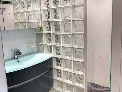 La salle de bains est pourvue d'un lavabo et d'une paroi en verre. dans l'établissement Appartement lumineux avec WIFI, climatisation et parking proche des Thermes - FR-1-503-63, à Balaruc-les-Bains