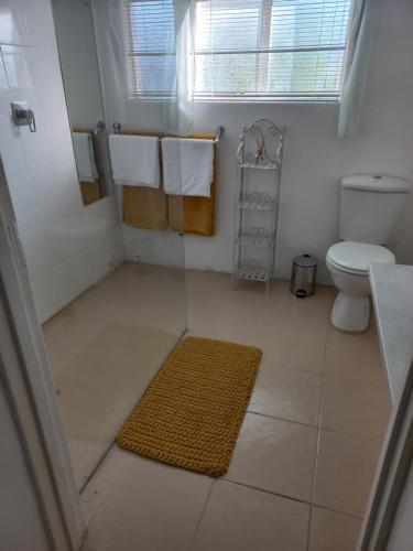 a bathroom with a shower and a toilet and a rug at Karooland Gastehuis in Middelburg