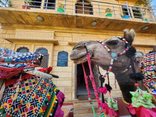 a decorated camel in front of a building at Blue Eye Hostel in Jaisalmer