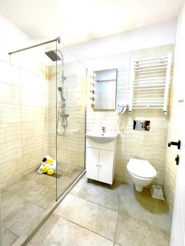 a bathroom with a shower and a sink and a toilet at Floria Hotels in Voluntari