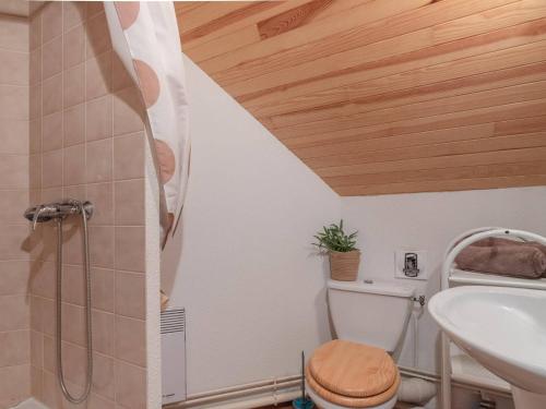 une salle de bain avec une douche, des toilettes et un lavabo dans l'établissement Appartement Triplex à Saint-Lary, 4 chambres, 9 pers, balcon, parking, WiFi optionnel - FR-1-296-287, à Saint-Lary-Soulan