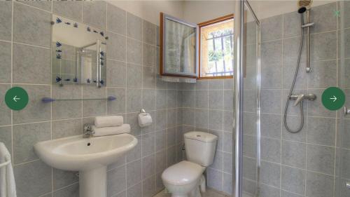 a bathroom with a sink and a toilet and a shower at L'AMANDIER -LE FIGUIER-LES LAURIERS ROSES in Ajaccio