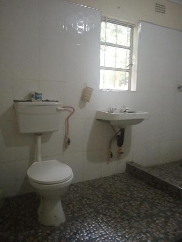 a bathroom with a toilet and a sink at Blue Waxbill Lodge in Namzunga