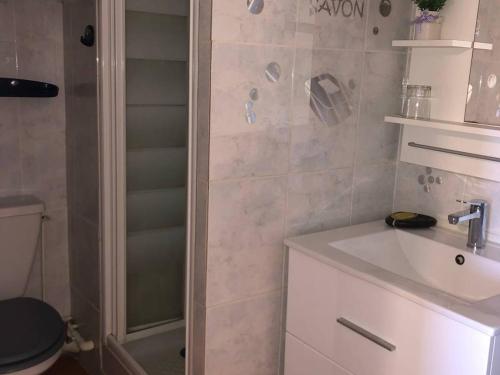 une salle de bain avec un lavabo et une douche dans l'établissement T2 Cabine 4 pers, Terrasse, Parking, Plage à 50m - FR-1-81-529, au Barcarès