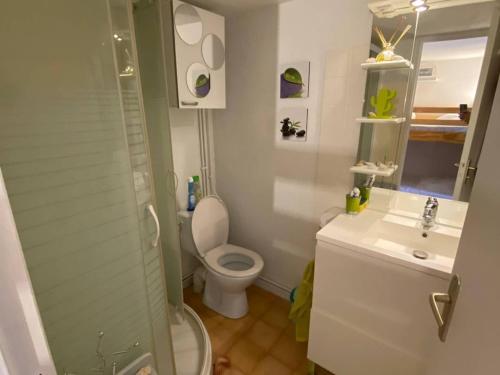 une salle de bain avec toilettes, lavabo et douche dans l'établissement Villa climatisée 4 pers, proche plage, terrasse, Aqualand à 2,5 km - FR-1-81-533, à Leucate