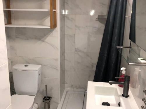 une salle de bain avec toilettes, lavabo et douche dans l'établissement Appartement T2 Mezzanine, 4 pers, proche plage, parking privé - FR-1-81-538, au Barcarès