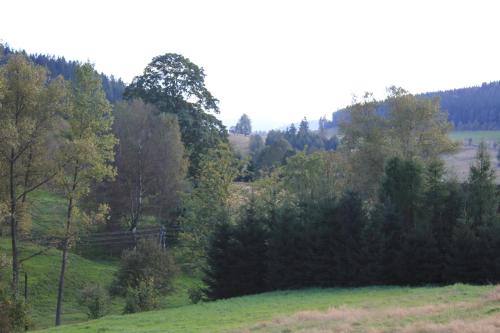 a green field with trees on a hill at Słoneczna Zagroda - Sunny Ridge Farm in Łączna
