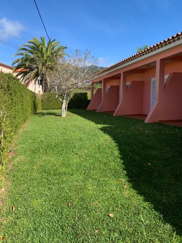 a green yard next to a building with a palm tree at Casa De Cha Prazeres in Prazeres