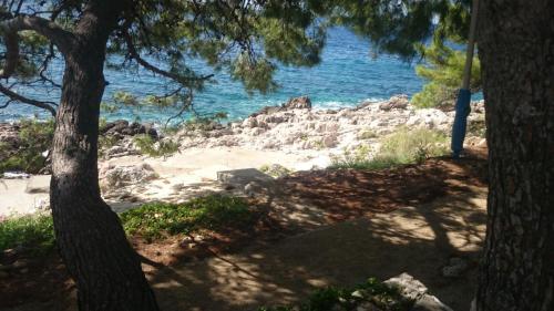 Φυσικό τοπίο κοντά σε αυτό το διαμέρισμα