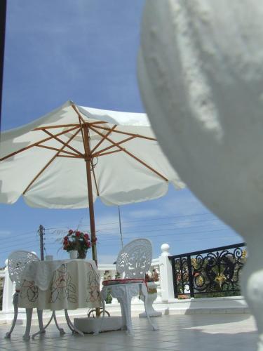 Castellino Studios