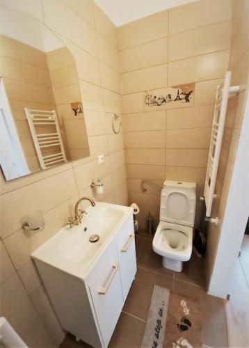 un piccolo bagno con lavandino e WC di Smile Studio a Braşov