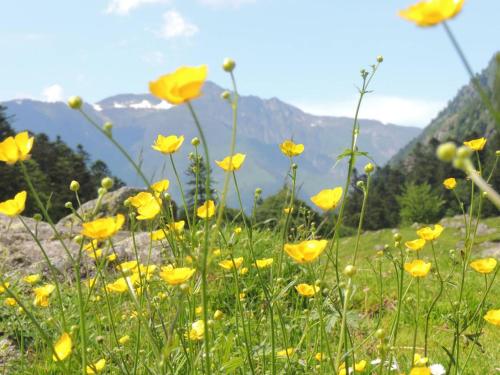 Photo de la galerie de l'établissement Studio T1 bis avec terrasse, parking et local à skis - 2 Chemin du Lisey, Cauterets - FR-1-234-272, à Cauterets