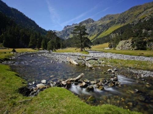 Photo de la galerie de l'établissement Studio T1 bis avec terrasse, parking et local à skis - 2 Chemin du Lisey, Cauterets - FR-1-234-272, à Cauterets