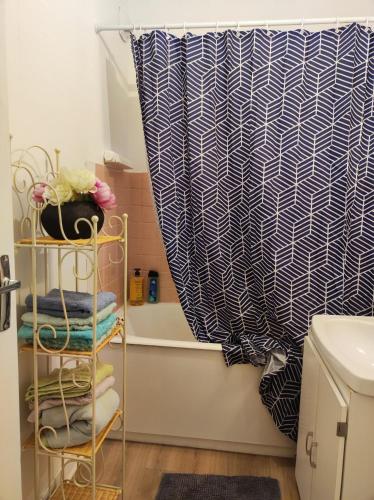 een badkamer met een douchegordijn en een handdoekenrek bij L'appart in Limoges