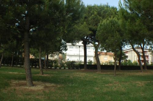 a group of trees in a park with a building at Hotel Miramare in Pineto