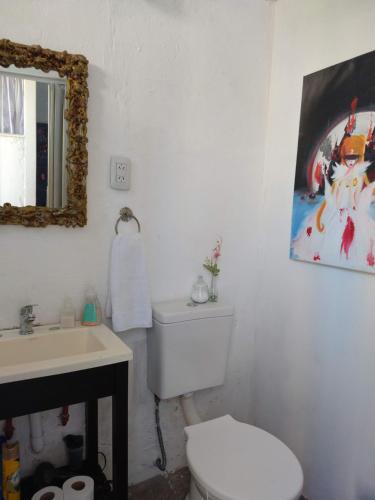 een badkamer met een toilet, een wastafel en een spiegel bij Pinzon P&G in Buenos Aires