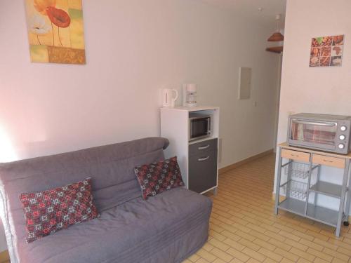 un salon avec un canapé et une télévision dans l'établissement Studio avec Parking, Wi-Fi et Animaux Acceptés - Proche Étang de Thau et Thermes - FR-1-571-19, à Balaruc-les-Bains