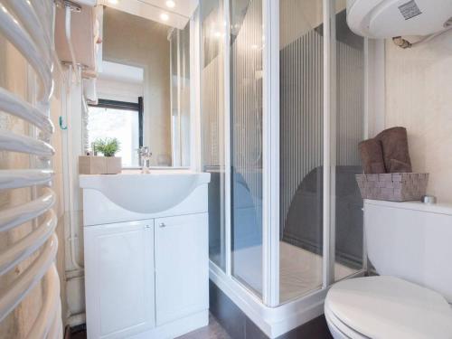 a bathroom with a shower and a sink and a toilet at Duplex rénové pour 4 à Saint-Lary près des pistes et commodités - FR-1-296-300 in Saint-Lary-Soulan