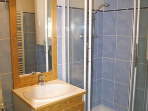 a bathroom with a sink and a shower at Appartement Les Adrets-Prapoutel, 2 pièces, 4 personnes - FR-1-557-8 in Les Adrets