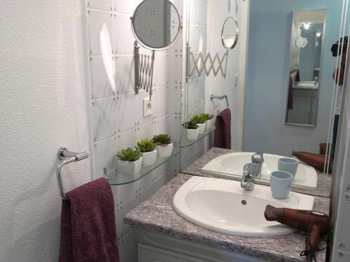 une salle de bain avec un lavabo et un miroir dans l'établissement Luchon: Appartement 2 chambres proche thermes, balcon, parking, WiFi - Animaux <10kg acceptés - FR-1-313-186, à Luchon