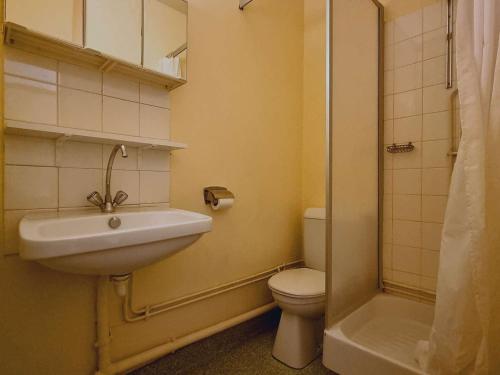 une salle de bain avec un lavabo, des toilettes et une douche dans l'établissement Studio au pied des pistes avec Wifi, parking, animaux admis - FR-1-525-186, à Saint-Étienne-en-Dévoluy