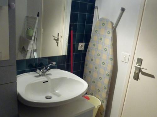 ein Bad mit einem Waschbecken und einem Duschvorhang in der Unterkunft Appartement Saint-Jean-d'Aulps, 1 pièce, 4 personnes - FR-1-573-38 in Saint-Jean-dʼAulps