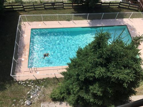 - une vue sur la piscine avec un arbre dans l'établissement Charmant T3 avec balcon, ascenseur et piscine en été, proche pistes et centre, idéal pour 6 pers. - FR-1-180-565, à Les Allues