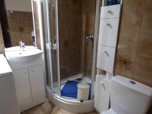une salle de bain avec une douche, des toilettes et un lavabo dans l'établissement Studio cosy ski aux pieds avec balcon, garage, et 300m des commerces (4 pers, 27m²) - FR-1-458-105, au Grand-Bornand