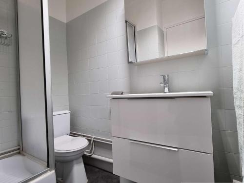 une salle de bain avec toilettes, lavabo et miroir dans l'établissement Studio cosy proche pistes avec Wifi, parking et animaux admis - FR-1-525-190, à Saint-Étienne-en-Dévoluy