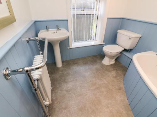 a blue bathroom with a toilet and a sink at 1A Lower Croft Street in Settle