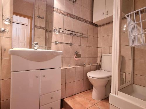 une salle de bain avec un lavabo et des toilettes dans l'établissement Studio au pied des pistes pour 4 avec Wifi, parking et animaux admis - FR-1-525-181, à Saint-Étienne-en-Dévoluy