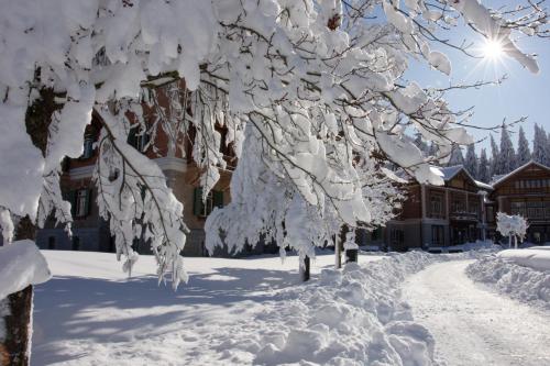 a tree covered in snow in front of a building at Guesthouse - Cultural Center Gustav Mahler in Dobbiaco