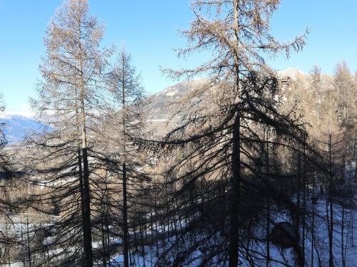 Studette rénovée proche pistes et centre Les Orres - FR-1-322-465