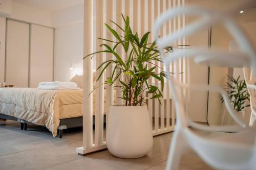 a bedroom with a bed and a potted plant at Decom Suites in La Rioja