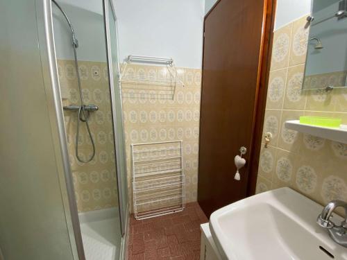 een badkamer met een douche en een wastafel bij Appartement Le Grand-Bornand, 1 pièce, 4 personnes - FR-1-241-239 in Le Grand-Bornand