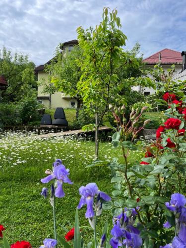 a garden with purple flowers in the grass at Riverside Villa Avo - Apartment AVO in Spodnja Idrija