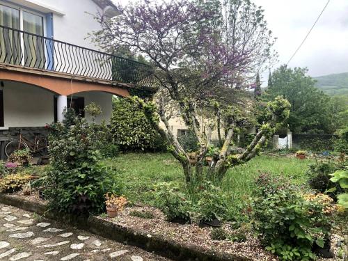 Appartement Prats-de-Mollo-la-Preste, 2 pièces, 5 personnes - FR-1-659-58