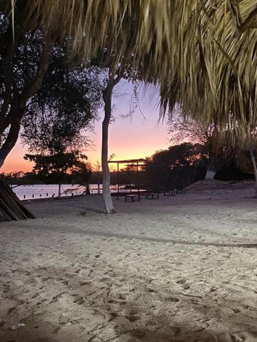 a beach with a picnic table and a tree on the beach at Club Camping Islamar in Baru