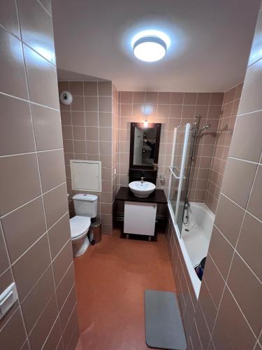 a bathroom with a sink and a toilet and a shower at Studio L'Ecrin des Ecureuils in La Féclaz