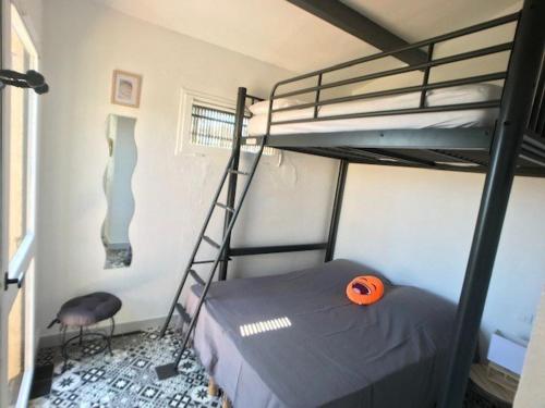 - une chambre avec des lits superposés avec un frisbee orange dans l'établissement Villa T2, 4 pers, face à la mer, terrasse, parking privé, à 400m des commerces, plage devant! - FR-1-81-462, à Port-Leucate