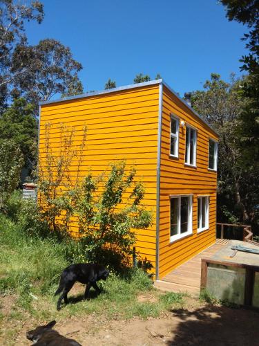 a dog walking in front of a yellow house at CABAÑAS ALTO BELLAVISTA NIEBLA in Niebla