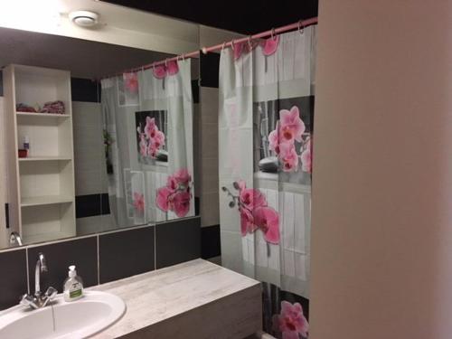 een badkamer met een wastafel en een spiegel met roze bloemen bij Studio La Mongie, 1 pièce, 5 personnes - FR-1-404-228 in La Mongie